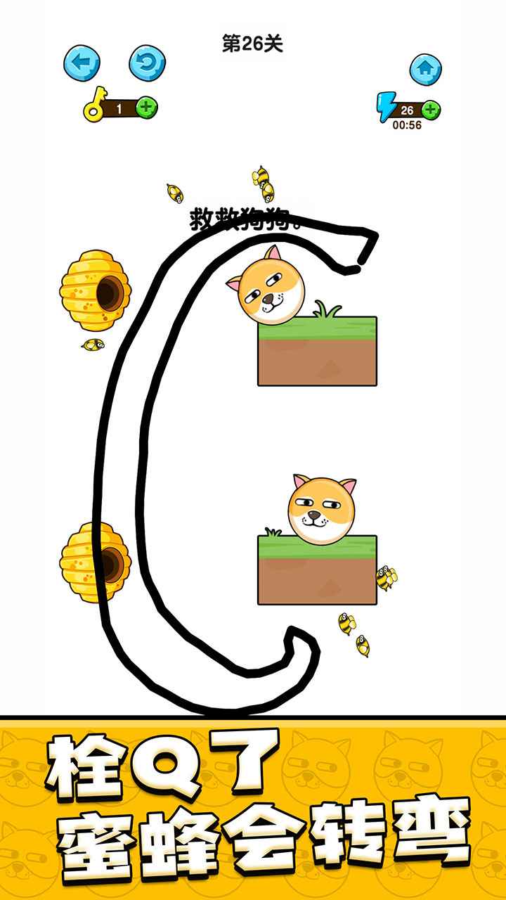 我的狗狗_截图4
