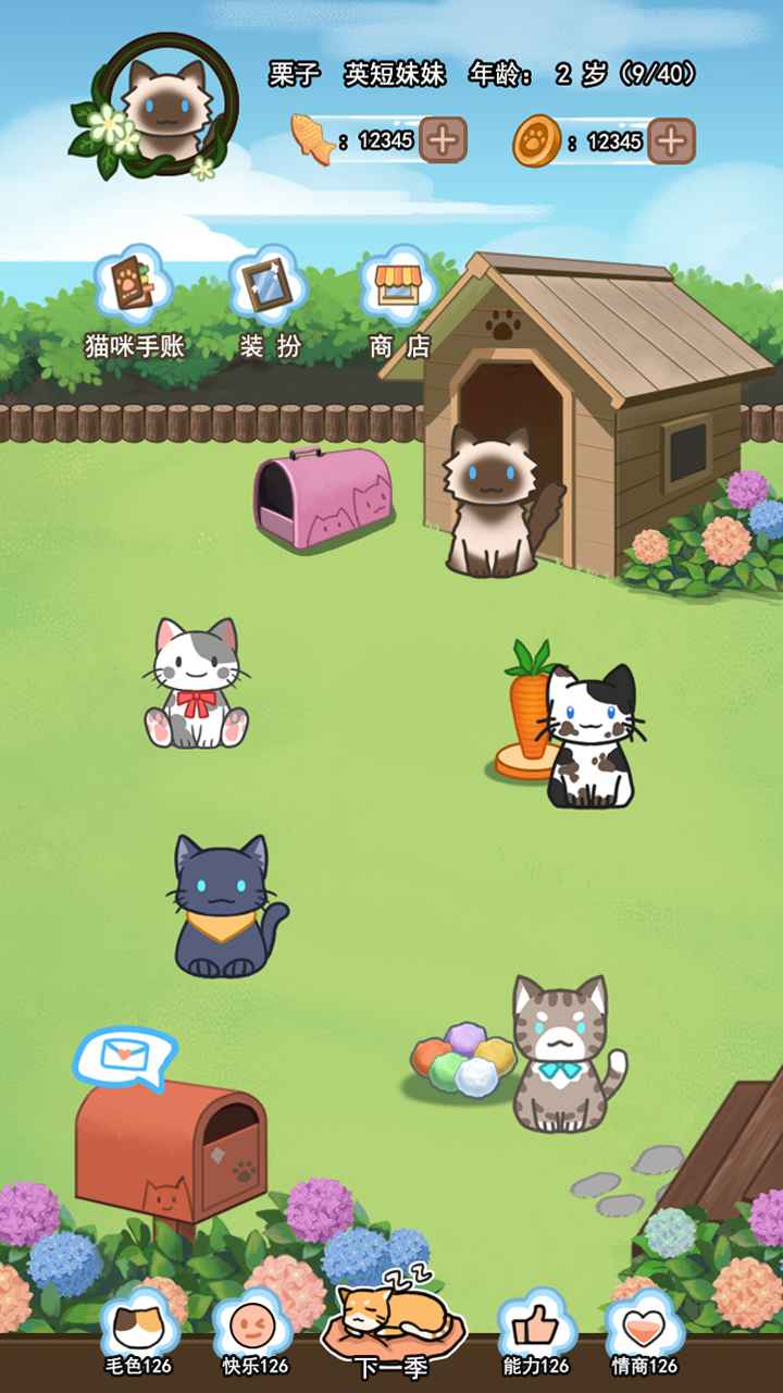 萌猫养成记