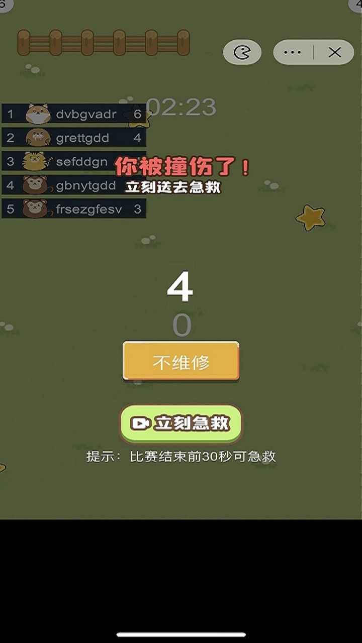 小动物之星