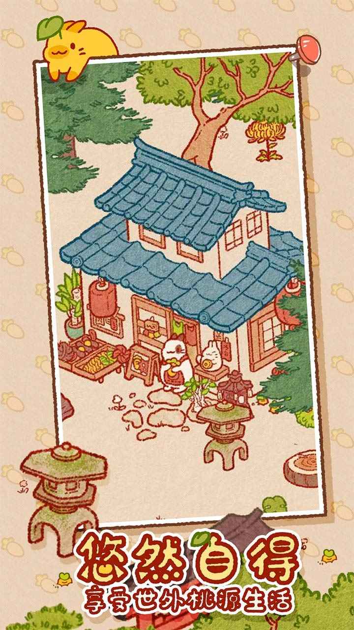 兔兔岛