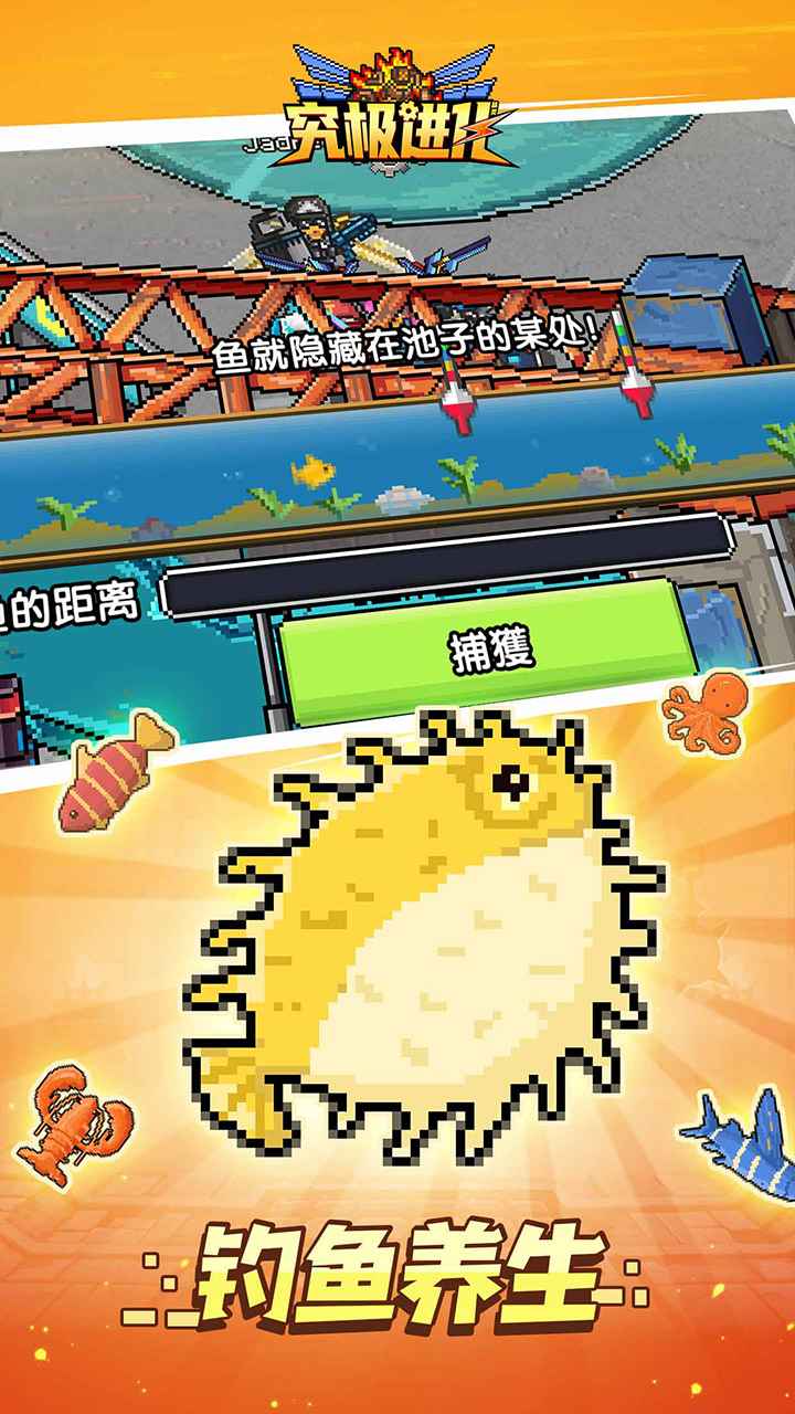 精灵究极进化