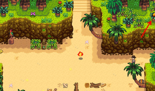 如何开始星露谷物语的老鼠肆虐任务 如何开始星露谷物语的老鼠肆虐任务