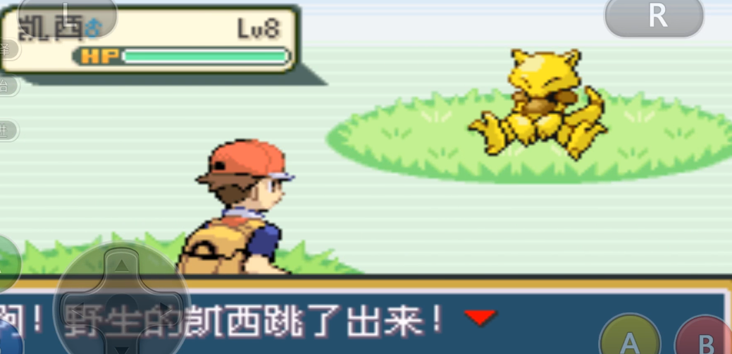 口袋妖怪火红彩虹道馆在哪个地方