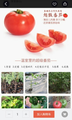 健康食材