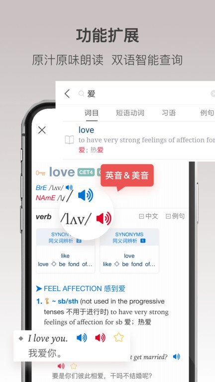 英汉双解词典
