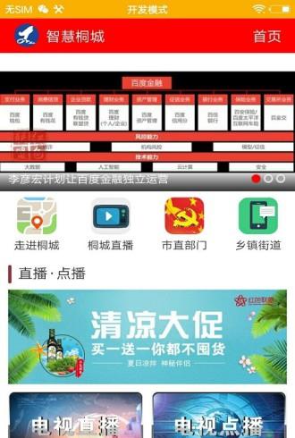 智慧桐城