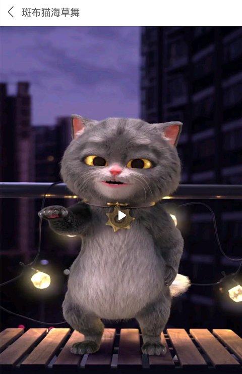 小彩猫