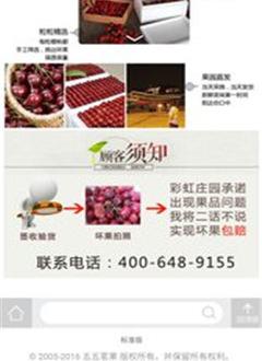 五五茗果