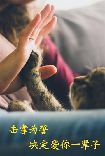 米族_截图1