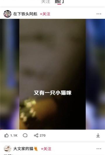 毛柚