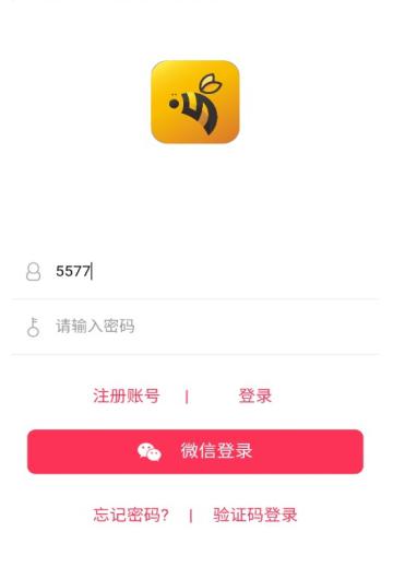 乐力蜂