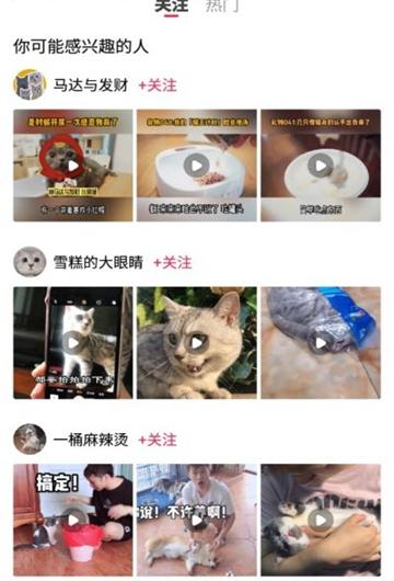 毛柚