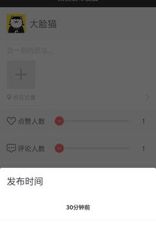 友圈集赞助手
