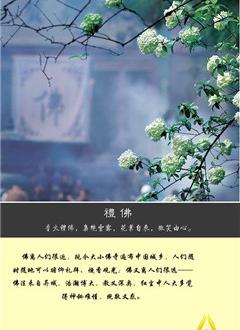 和平网商城