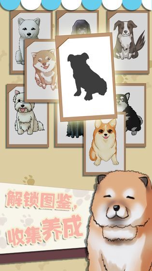 口袋宠物猫狗模拟3d_截图2