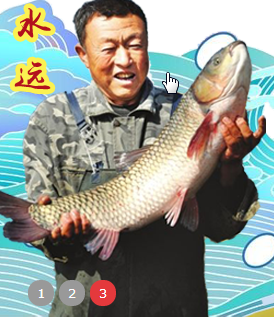 51买点菜