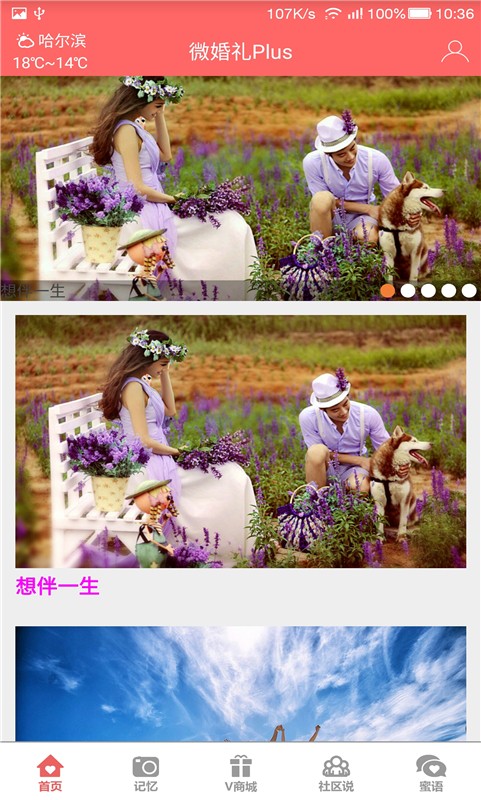 微婚礼plus