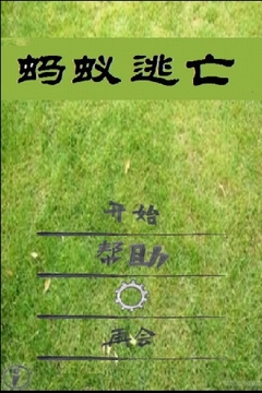 蚂蚁逃亡