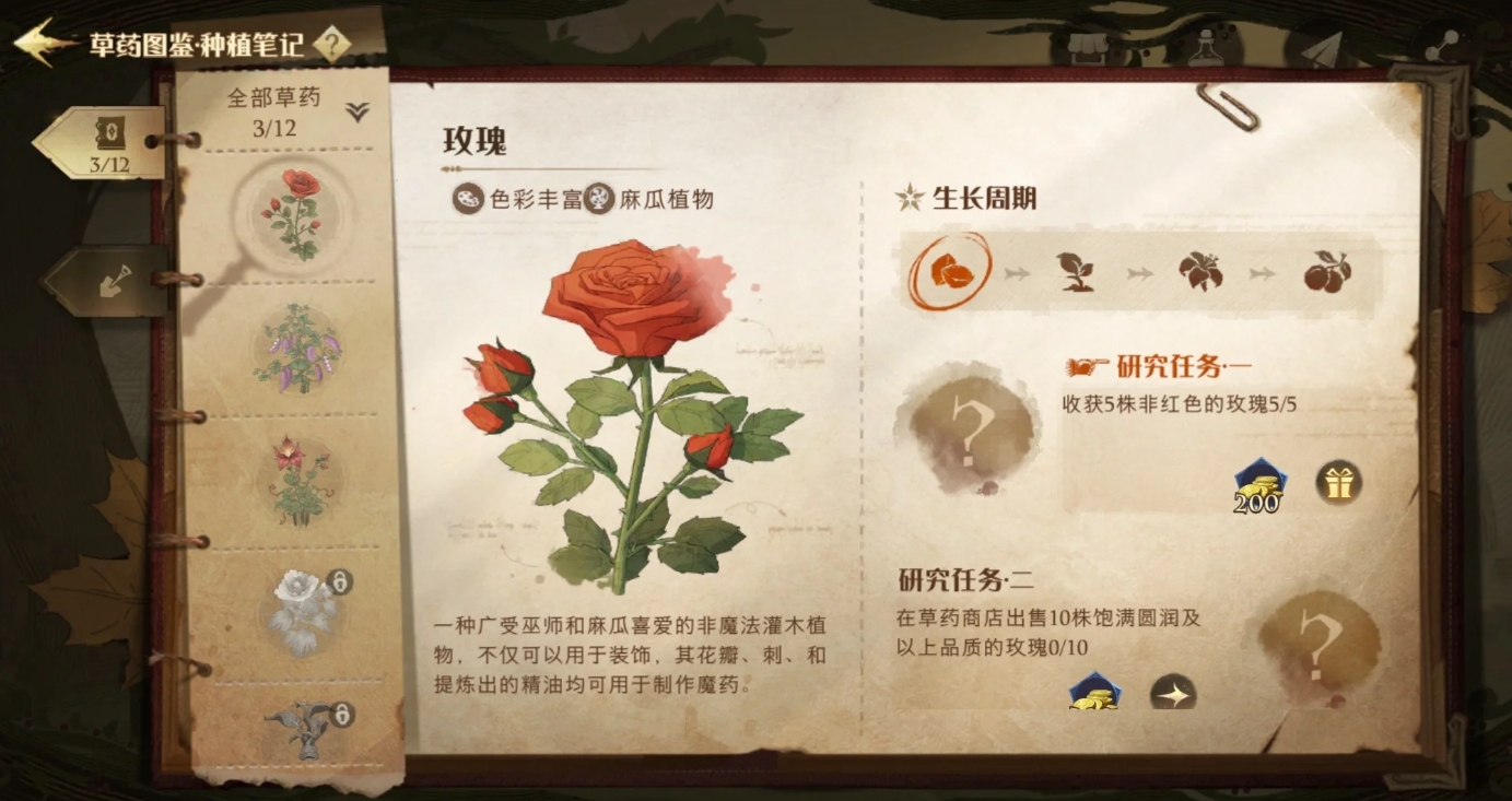 哈利波特魔法觉醒的回响意味着什么