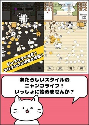 科科科的猫太郎