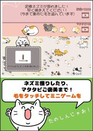科科科的猫太郎