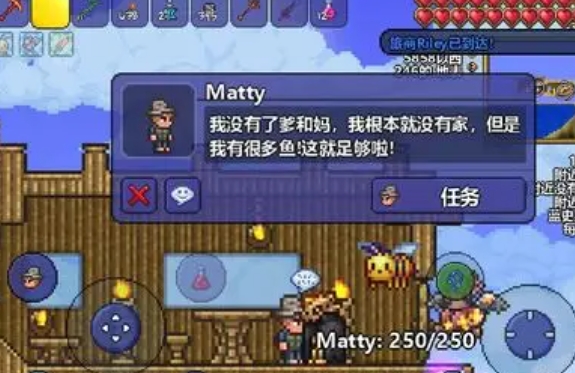 入住泰拉瑞亚公主所需要的条件有哪些