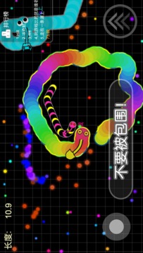 蛇蛇暴走