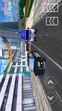 真正的警车野外追逐