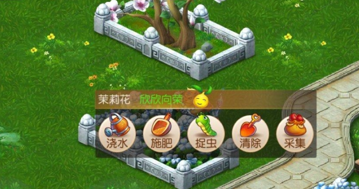 梦幻西游宝宝如何提升进阶成功率 梦幻西游宝宝如何提升进阶成功率
