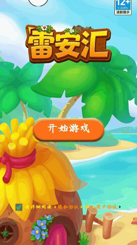 雷安汇