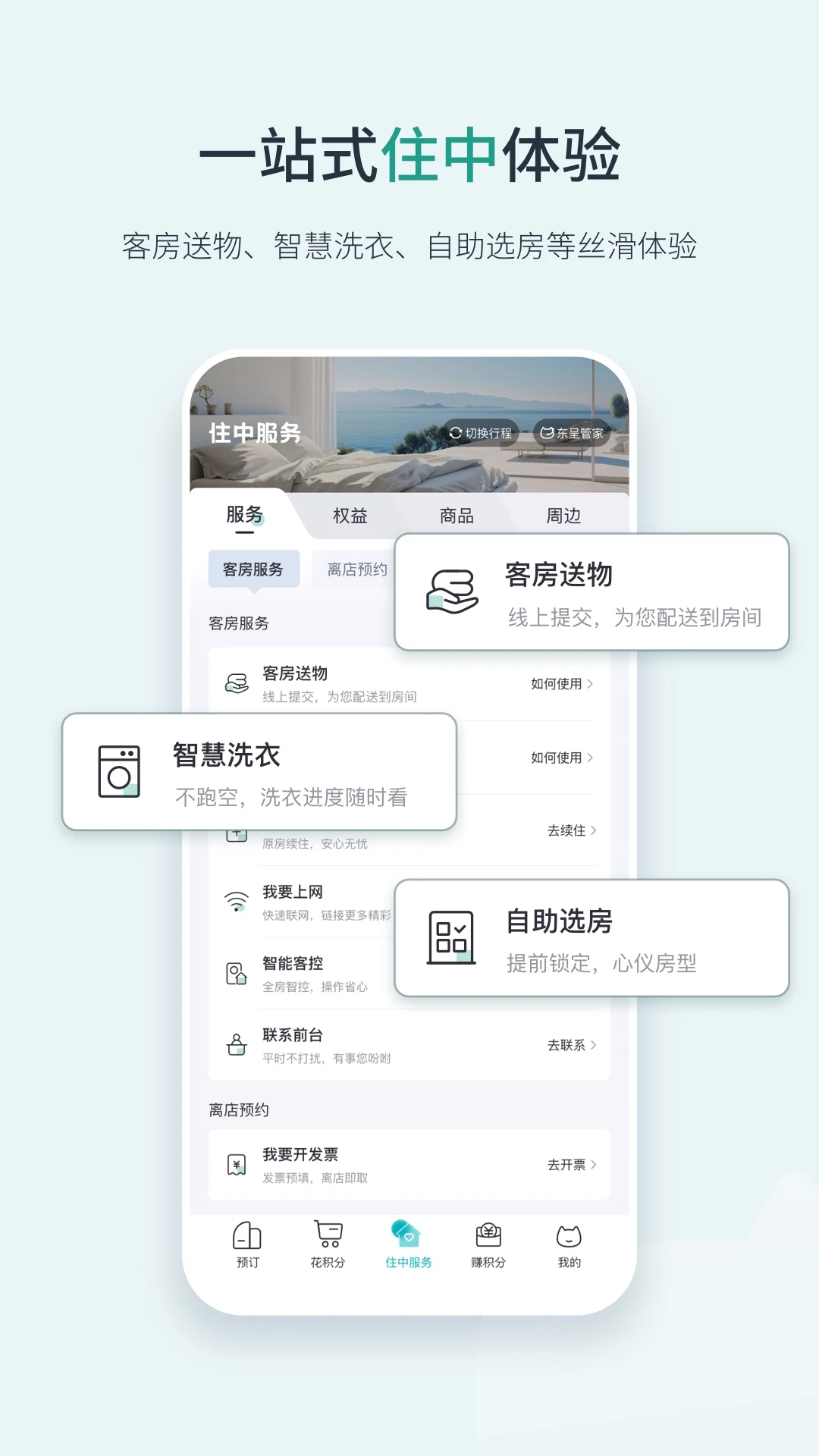 东呈青猫会