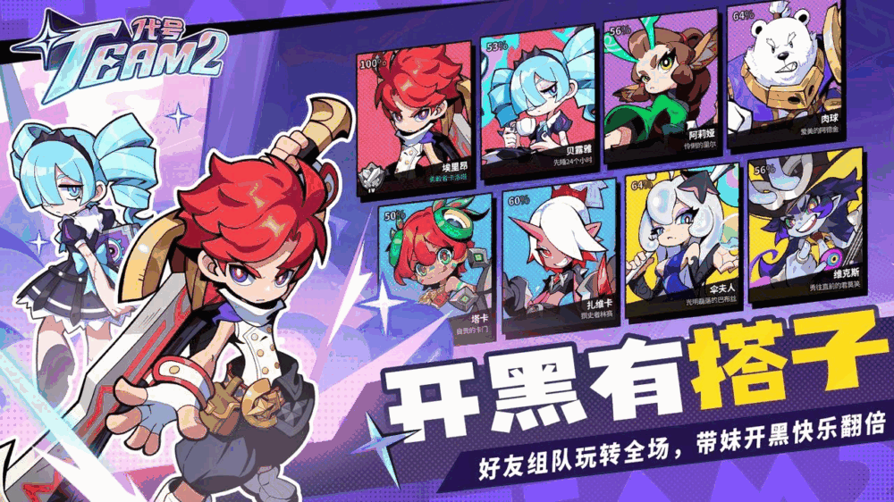 代号team2