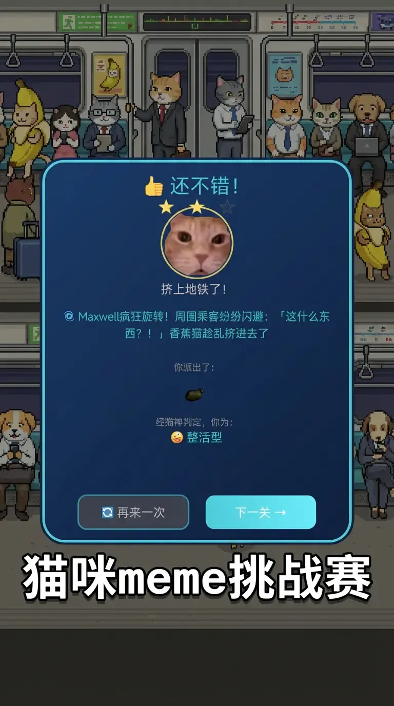 香蕉猫日记