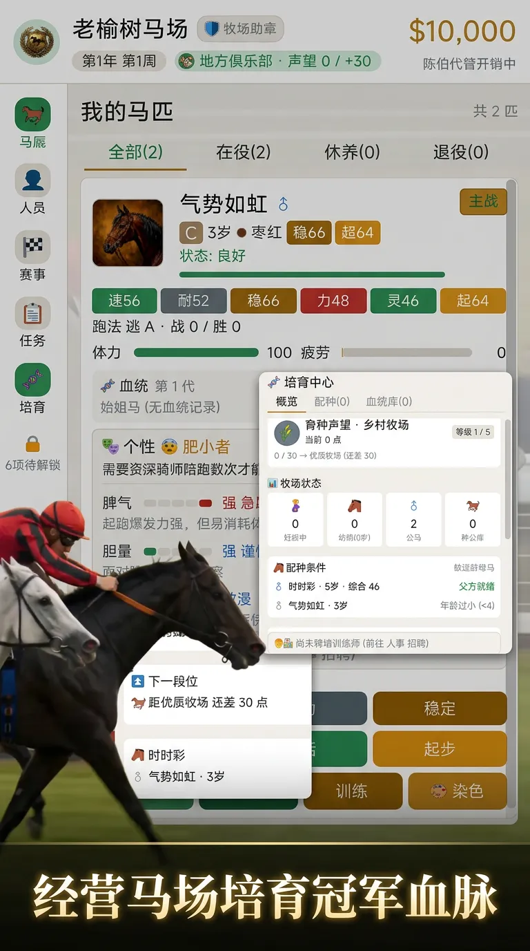 赛马俱乐部模拟