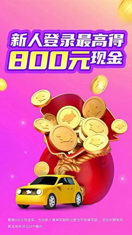 花小猪司机端