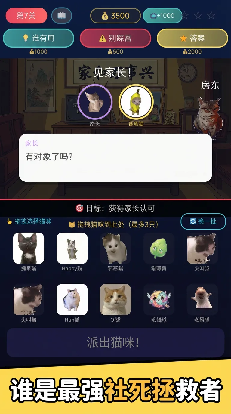 香蕉猫日记