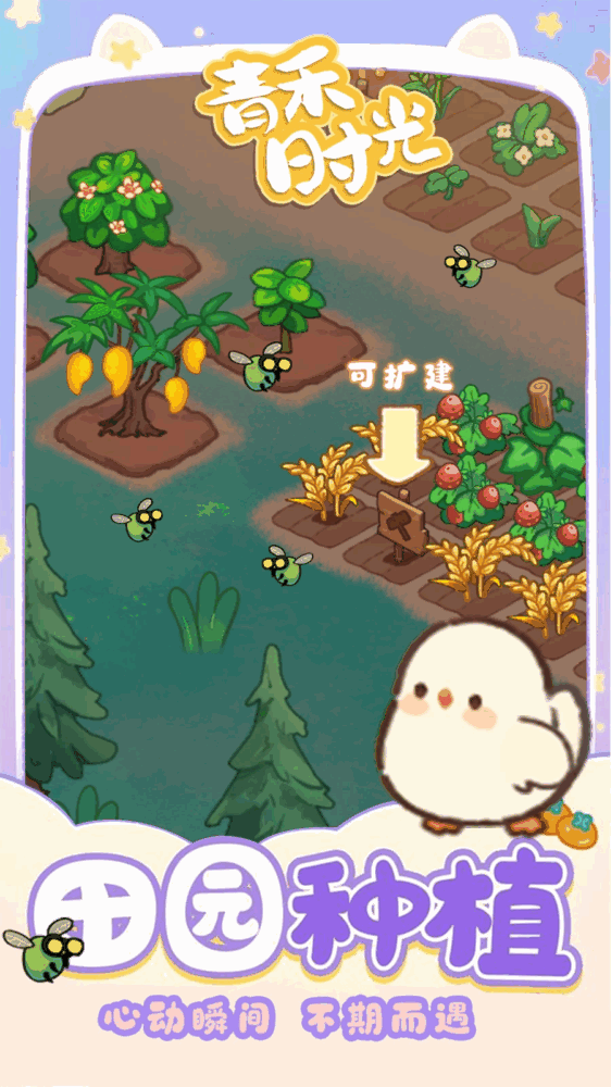 青禾时光