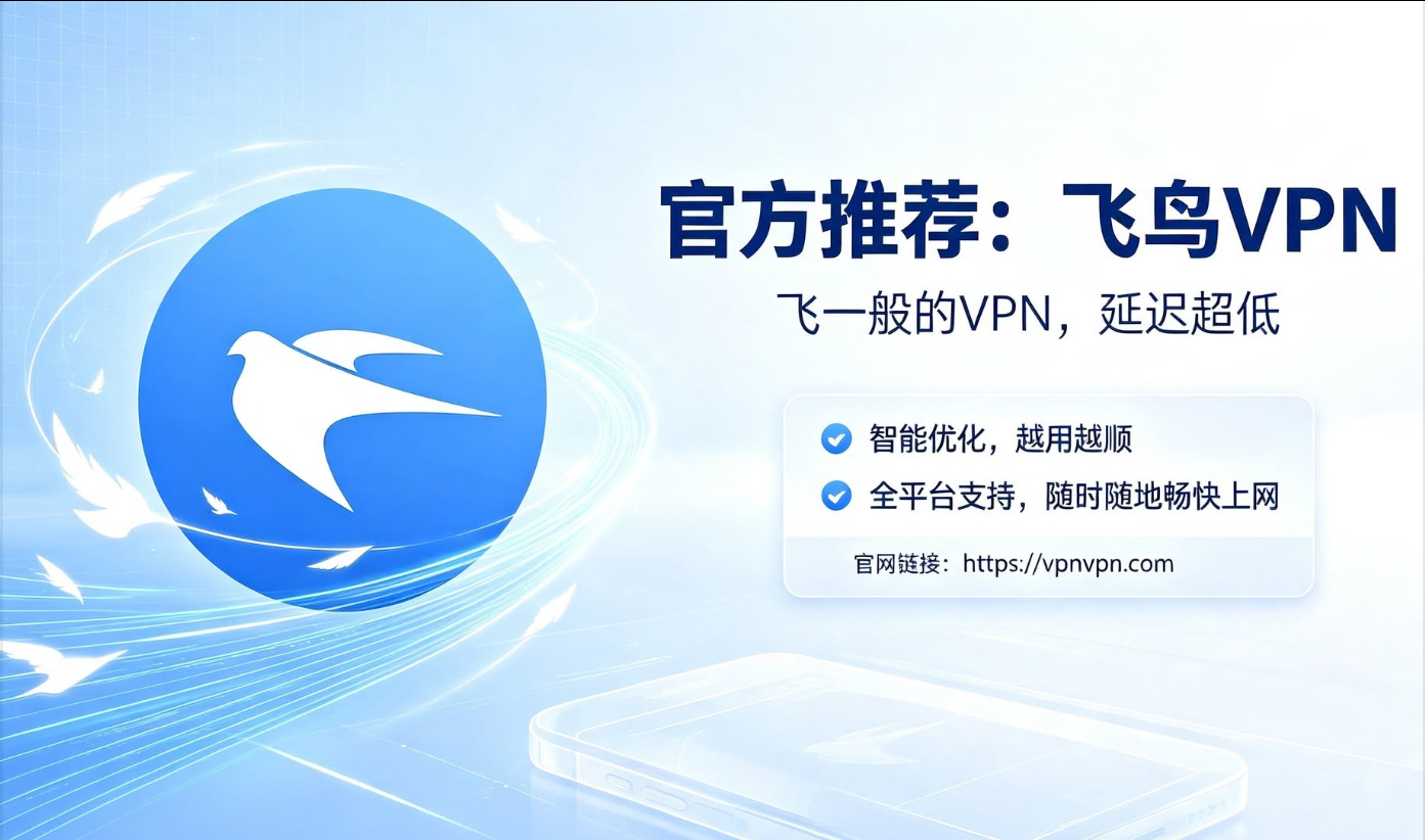 飞鸟加速vp