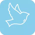 小羽加速app